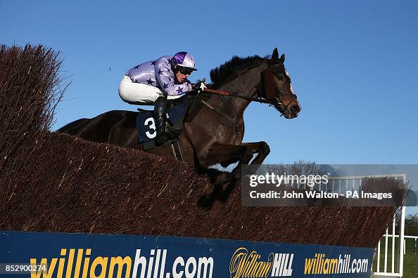 Jockey Adam Pogson on Noble Witness during the 32red Handicap Chase ...