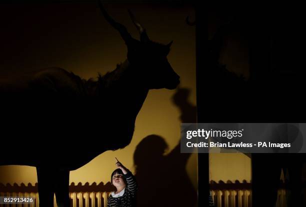 Fiona Xu, four, from Smithfield, Dublin, admires an eland on display in the Natural History museum in Dublin where new facilities at the...