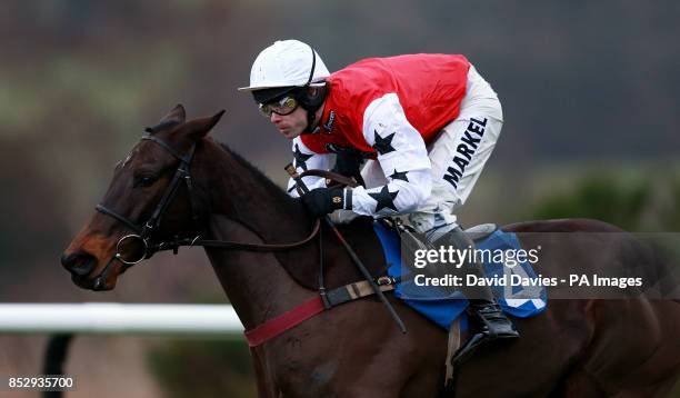 Duaiseoir ridden by Sam Thomas in the Clive Pavilion Novices Limited Handicap Chase at Ludlow Racecourse.