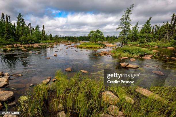 labrador boreal forest - labrador imagens e fotografias de stock