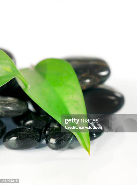 spa stones with leaves - spa hot stone stock pictures, royalty-free photos & images
