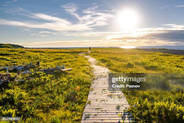 walking trail at ramea - newfoundland and labrador stock pictures, royalty-free photos & images