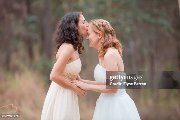 two brides share a moment of love and happiness following their wedding ceremony. one bride kisses the other on the forehead. an australian bush scene is in the background. - photos of lesbians kissing stock pictures, royalty-free photos & images