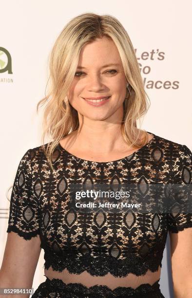 Actress Amy Smart arrives at the 27th Annual EMA Awards at Barker Hangar on September 23, 2017 in Santa Monica, California.