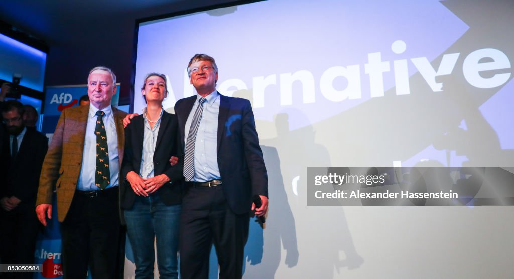 Election Night: Alternative for Germany (AfD)