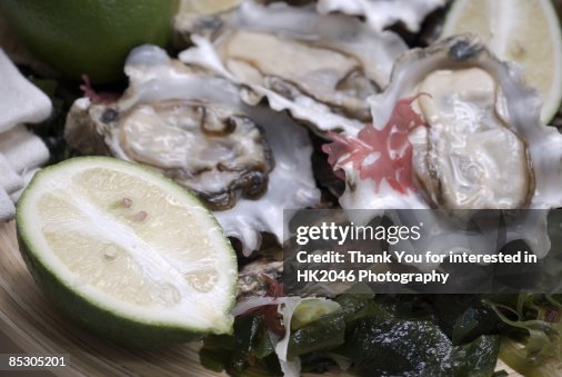 Oyster Lime Oyster Lime