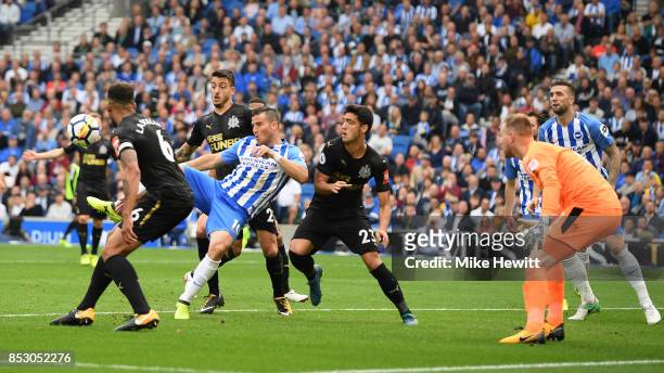Tomer Hemed of Brighton scores the only goal of the game during the Premier League match between Brighton and Hove Albion and Newcastle United at...
