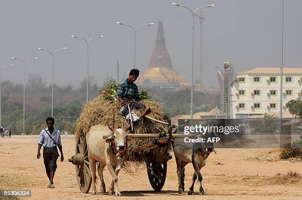 Man leads his cart on a road past the Uppatasanti Pagoda in Naypyidaw, the country's administrative capital on March 7, 2009. Tens of thousands of...