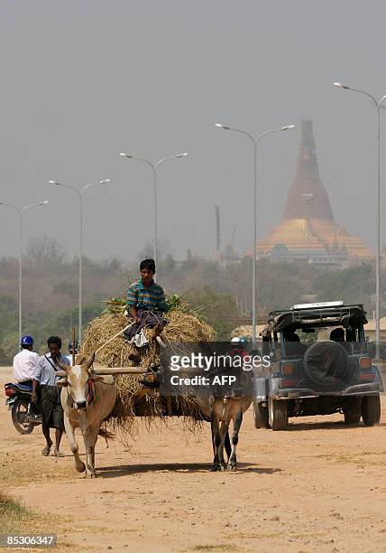 Man leads his cart on a road past the Uppatasanti Pagoda in Naypyidaw, the country's administrative capital on March 7, 2009. Tens of thousands of...