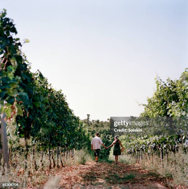 couple walking through field of wine stocks - escapism stock pictures, royalty-free photos & images