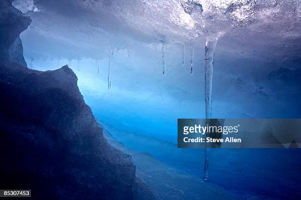 antarctica - antarctica underwater stock pictures, royalty-free photos & images