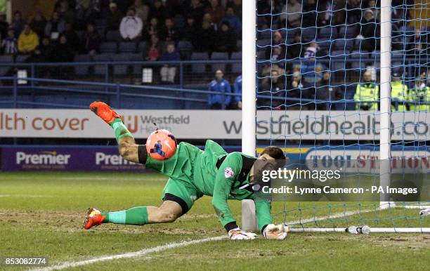 Damian Martinez, Sheffield Wednesday goalkeeper