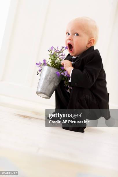 toddler in tuxedo biting flowers - babies and smoking stock-fotos und bilder