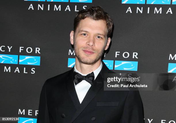 Actor Joseph Morgan attends the Mercy For Animals' Annual Hidden Heroes Gala at Vibiana on September 23, 2017 in Los Angeles, California.