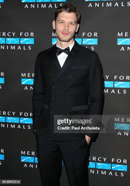 Actor Joseph Morgan attends the Mercy For Animals' Annual Hidden Heroes Gala at Vibiana on September 23, 2017 in Los Angeles, California.