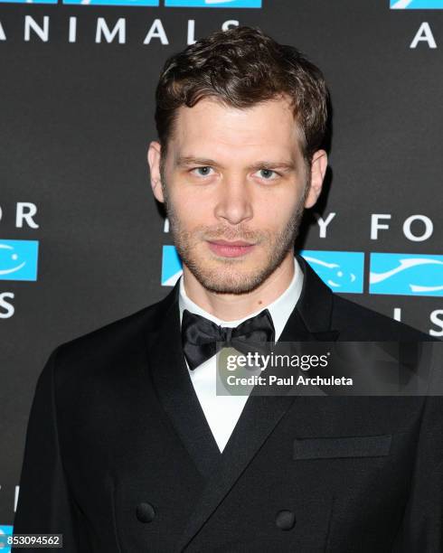 Actor Joseph Morgan attends the Mercy For Animals' Annual Hidden Heroes Gala at Vibiana on September 23, 2017 in Los Angeles, California.