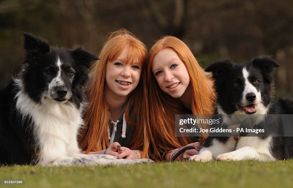 Crufts 2014