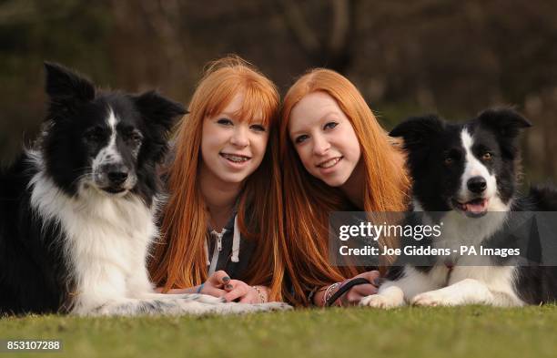 Fifteen-year-old twins Emily and Katie Wyatt from Hollywood, Birmingham with their brother and sister Bordie Collie dogs Shaun and Chay who will be...