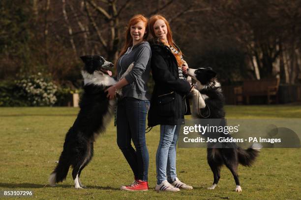 Fifteen year old twins Emily and Katie Wyatt from Hollywood, Birmingham with their brother and sister Bordie Collie dogs Shaun and Chay who will be...