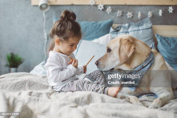 our little kingdom - muzzle human stock pictures, royalty-free photos & images