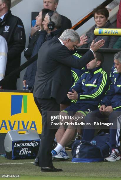 Stoke City manager Mark Hughes reacts on the touchline