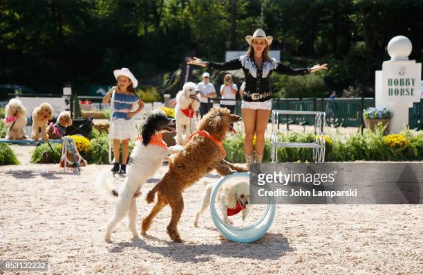 Dogs are seen performing tricks during the 4th Annual Rolex Central Park horse show at Wollman Rink, Central Park on September 24, 2017 in New York...