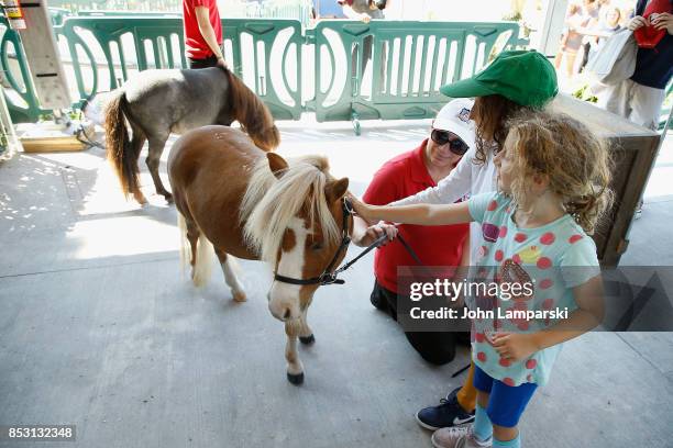 Childeren play with the mini horse heroes at the 4th Annual Rolex Central Park horse show at Wollman Rink, Central Park on September 24, 2017 in New...