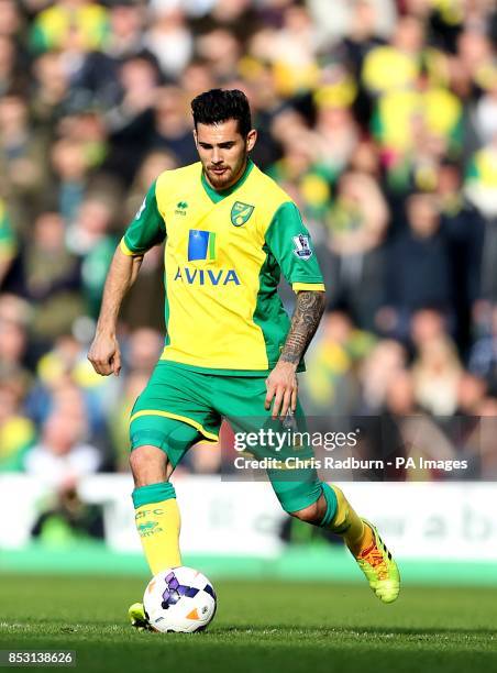 Bradley Johnson, Norwich City