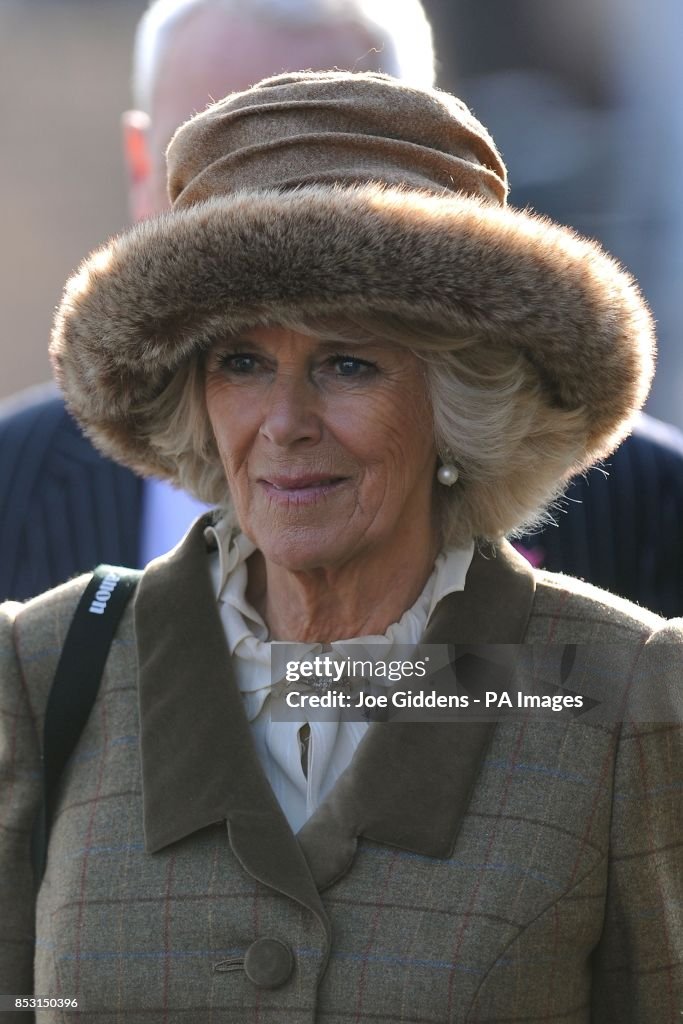 Bookies pay price for Camilla's hat