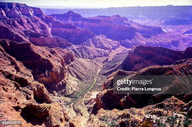 grand canyon's north rim : view from cape royal, arizona, usa - kaibab national forest stock pictures, royalty-free photos & images