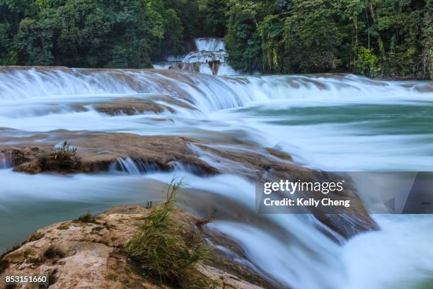 agua azul waterfalls - agua azul stock-fotos und bilder