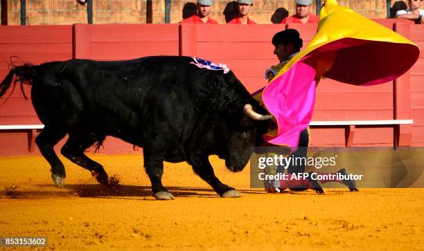 Spanish matador Alejandro Talavante performs a pass with capote during a bullfight at the Maestranza bullring, in Sevilla on September 24, 2017. /...
