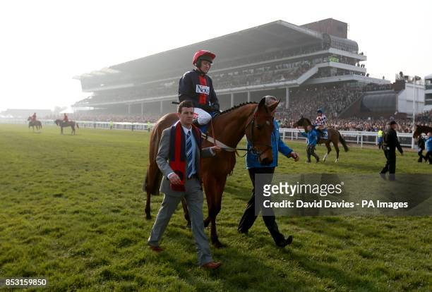 Bobs Worth ridden by jockey Barry Geraghty going to post prior to the Betfred Cheltenham Gold Cup Chase on Gold Cup Day, during the Cheltenham...