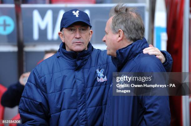 Crystal Palace's manager Tony Pulis