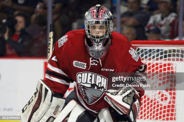 Goaltender Anthony Popovich of the Guelph Storm watches the puck against the Windsor Spitfires on September 24, 2017 at the WFCU Centre in Windsor,...