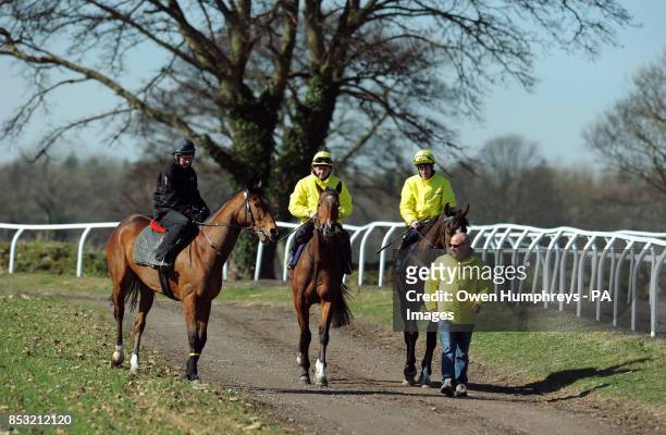 Trainer Richard Fahey leads down his three Lincoln runners Gabrial's Kaka ridden by Barry McHugh , Hi There ridden by Tony Hamilton and Brae Hill...
