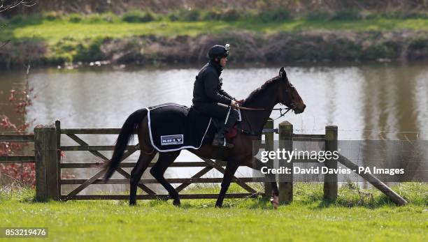 Trainer Michael Scudamore with Monbeg Dude during the stable visit at Eccleswall Court, Ross-on-Wye.