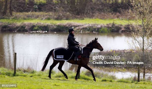 Trainer Michael Scudamore with Monbeg Dude during the stable visit at Eccleswall Court, Ross-on-Wye.