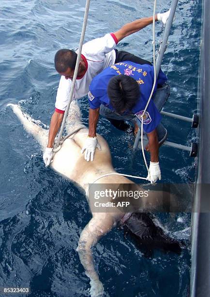 Member of the Thai police and from a maritime rescue team lift a dead body out of the water during a search operation off the coast of the southern...