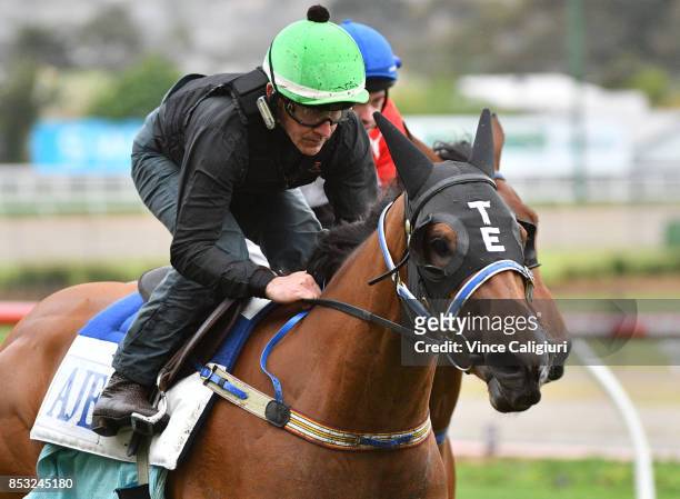 Jeff Lloyd riding Houtzen during trackwork Session at Moonee Valley Racecourse on September 25, 2017 in Melbourne, Australia.