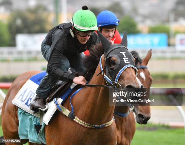 Jeff Lloyd riding Houtzen during trackwork Session at Moonee Valley Racecourse on September 25, 2017 in Melbourne, Australia.