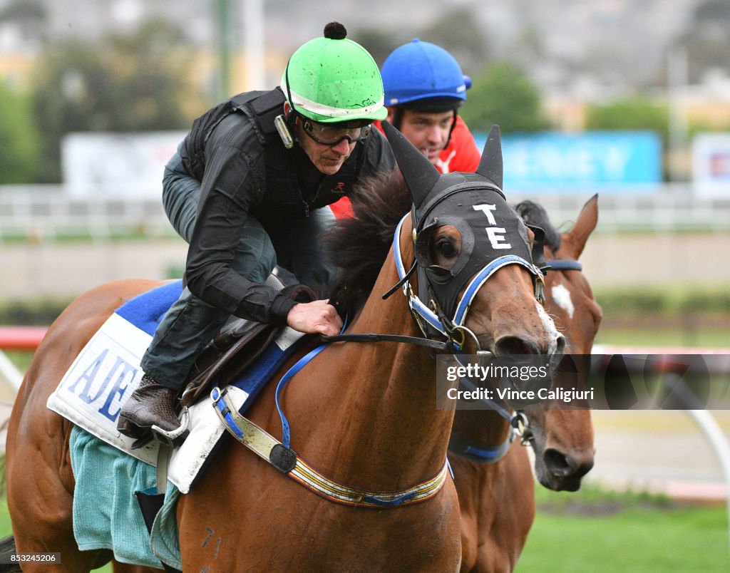 Moonee Valley Trackwork Session