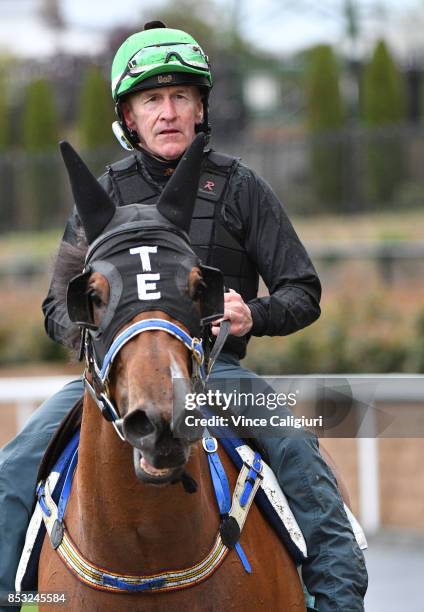 Jeff Lloyd riding Houtzen after a trackwork Session at Moonee Valley Racecourse on September 25, 2017 in Melbourne, Australia.