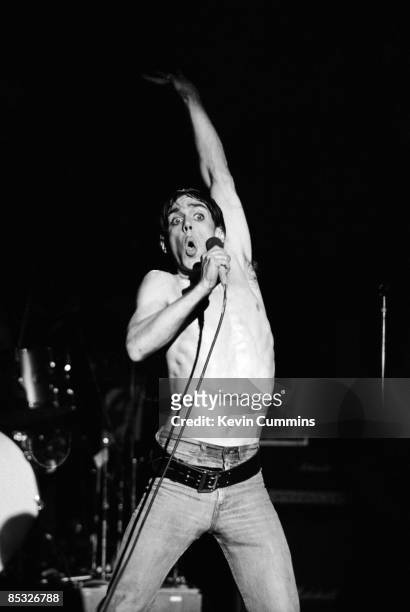 American singer Iggy Pop performing at the Manchester Apollo, 3rd March 1977. He was promoting his album 'The Idiot' with a band that featured David...