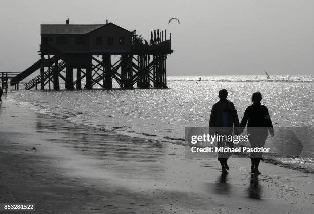 beach at the north sea with a stilt house - mar de wadden fotografías e imágenes de stock