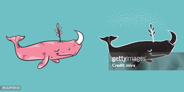 unicorn whale - whale tail illustration stock illustrations