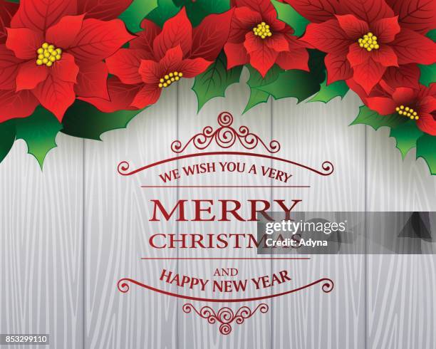 holiday background with poinsettia - poinsettia plant table nobody stock illustrations