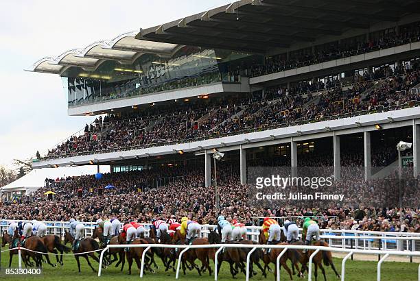 Runners and riders race in front of the stand in The David Nicholson Mares Hurdle Raceduring day one of the Cheltenham Festival at Cheltenham...