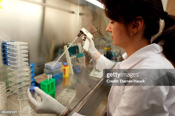 Irina Elcheva an employee of WiCell Research Institute, Inc. Prepares stem cells for culture at the Wisconsin National Primate Research Center at...