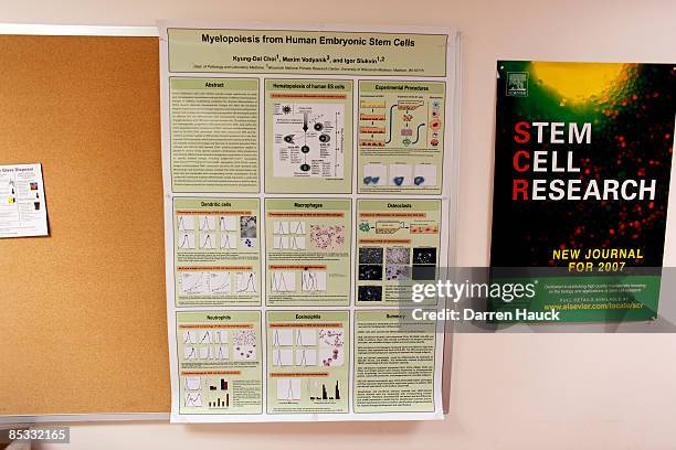 Cell Lab Poster 1,215 Stem Cell Center Stock Photos, High-Res Pictures, and Images ...